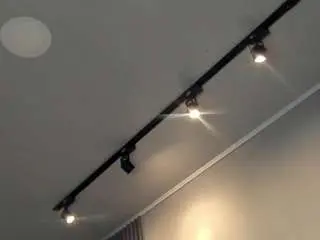 Cprelise  live sex cam