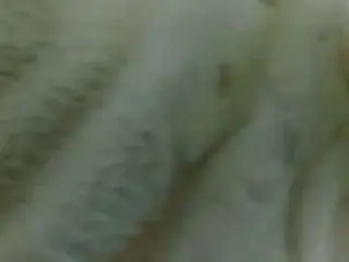 Katalinamerry  live sex cam