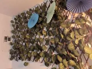 Saraxcampur  live sex cam
