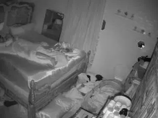 Voyeurcam-hornyhostel-03  live sex cam