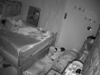 Voyeurcam-hornyhostel-03  live sex cam