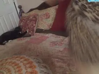 Ireallysquirt  live sex cam