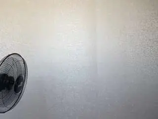 Tonifavuzzi  live sex cam