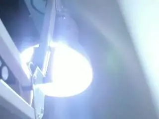 Tamara-bloom  live sex cam