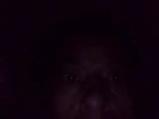 Salito26  live sex cam