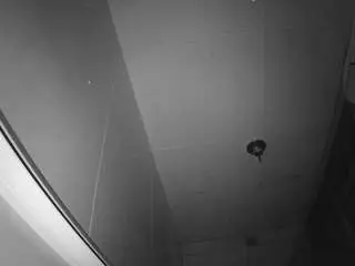 Voyeurcam-casa-salsa-bathroom-10  live sex cam