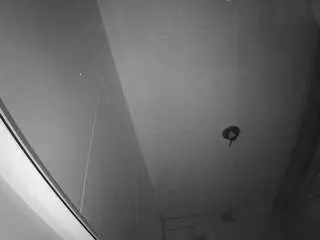 Voyeurcam-casa-salsa-bathroom-10  live sex cam