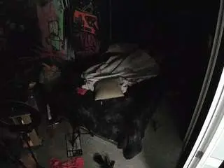 Voyeurcam-casa-salsa-disturbed  live sex cam