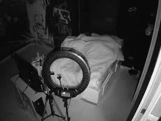 Voyeurcam-casa-salsa-disturbed  live sex cam