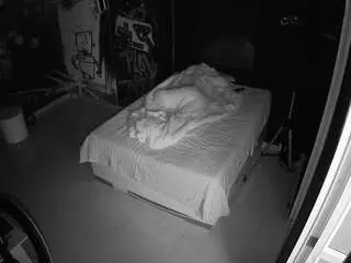 Voyeurcam-casa-salsa-disturbed  live sex cam
