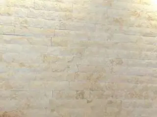 Annie-shine  live sex cam