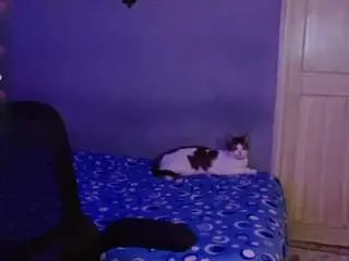 Eimy-nicolls  live sex cam