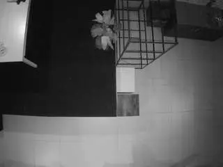 Voyeurcam-jb-room-4  live sex cam