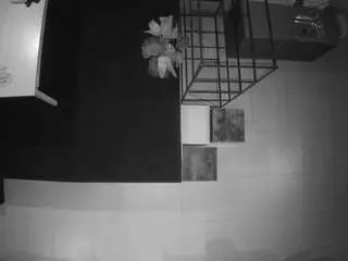Voyeurcam-jb-room-4  live sex cam