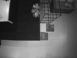 Voyeurcam-jb-room-4  live sex cam