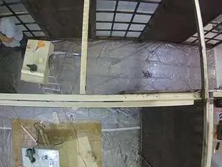 Voyeurcam-jb-room-4  live sex cam