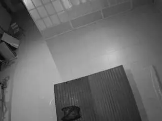 Voyeurcam-jb-room-6  live sex cam