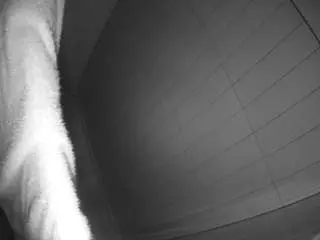 Voyeurcam-hazelgrace-01  live sex cam