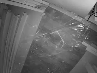 Voyeurcam-jb-room-7  live sex cam