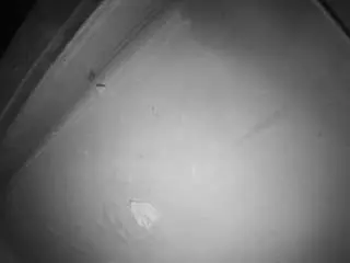 Voyeurcam-jb-room-7  live sex cam