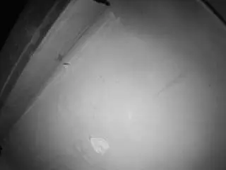Voyeurcam-jb-room-7  live sex cam
