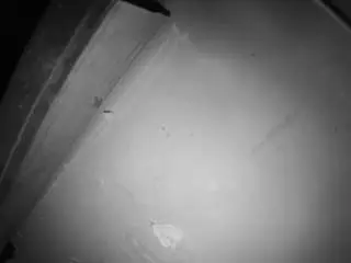 Voyeurcam-jb-room-7  live sex cam
