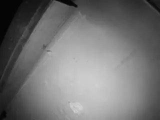 Voyeurcam-jb-room-7  live sex cam