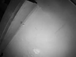Voyeurcam-jb-room-7  live sex cam