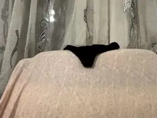 Elenaperezprosecutor  live sex cam