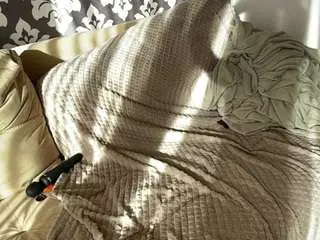 Shandibunger  live sex cam