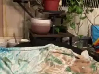Bbygirl7  live sex cam