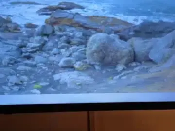Saamantharose  live sex cam
