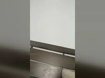 Jrabit7  live sex cam