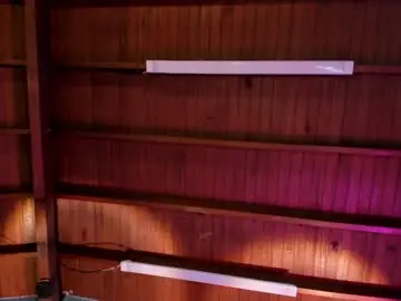 Julieta_zc  live sex cam