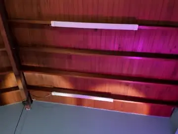 Julieta_zc  live sex cam