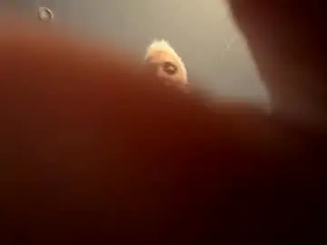Holestofill808  live sex cam