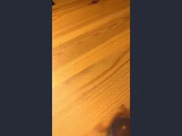 Judiebradish  live sex cam