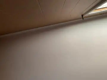 Shygurl13  live sex cam