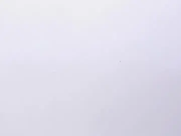 Annie_soler  live sex cam
