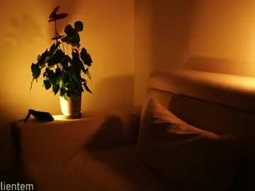 Ms_seductive  live sex cam