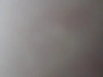 Nextdoor_fantasy  live sex cam