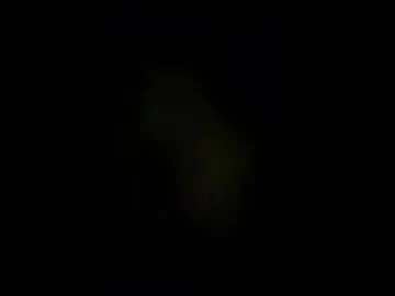 Samflow1  live sex cam