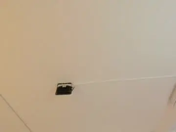 Paloma_victory  live sex cam