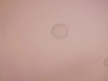 Abby_me  live sex cam