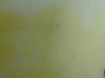 Missbrawnii  live sex cam