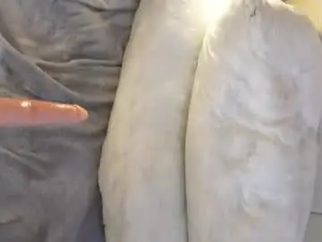 Wildbanny  live sex cam