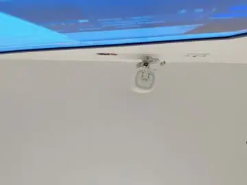 Noah_pariss  live sex cam