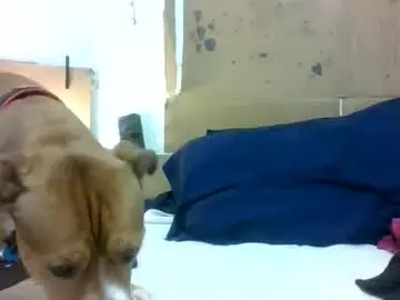 Pinkdoglover007  live sex cam