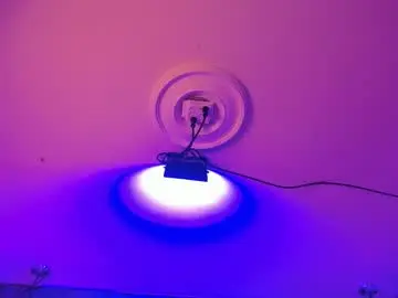 Hannahvianey  live sex cam