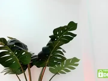 Ashllovee_  live sex cam